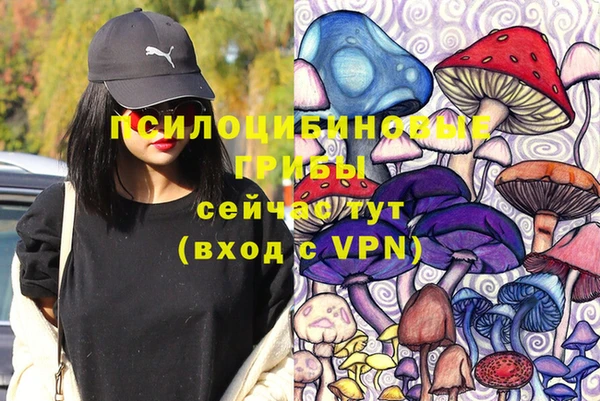 гидра Новокубанск