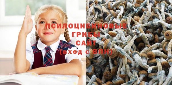 гидра Новокубанск