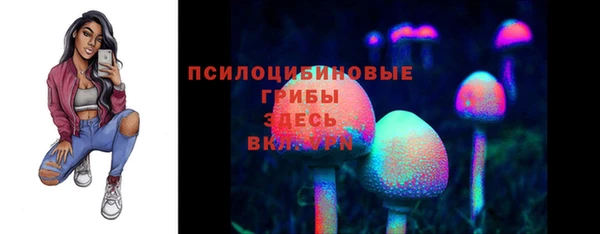 гидра Новокубанск