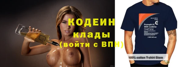 дурь Новодвинск