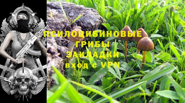 дурь Новодвинск