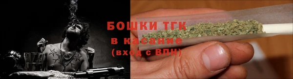 дурь Новодвинск
