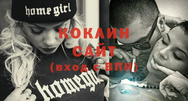 дурь Новодвинск