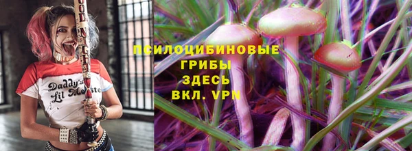 ALPHA PVP Новозыбков
