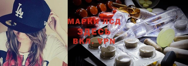 гидра Новокубанск