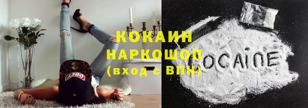 дурь Новодвинск