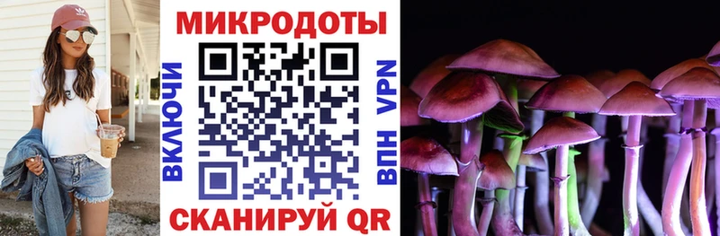 Галлюциногенные грибы ЛСД Олонец