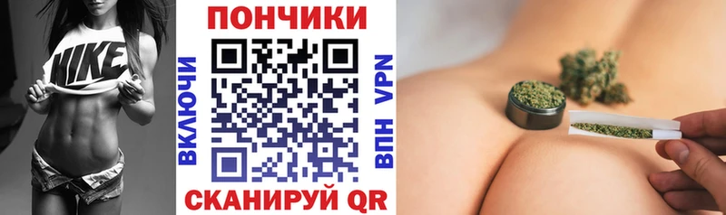 Канабис SATIVA & INDICA  Олонец 